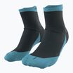 DYNAFIT Transalper Laufsocken blau und marineblau 08-0000071525