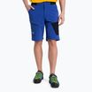 Herren Salewa Pedroc 3 DST Cargo-Trekking-Shorts navy blau 00-0000028601