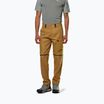 Herren-Trekkinghose Salewa Puez Hemp/Dst 2/1 goldbraun