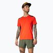 Herren DYNAFIT Sky dawn Laufshirt