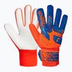 Torwarthandschuhe Reusch Attrakt Starter Solid shocking orange/blue