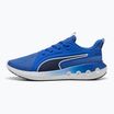Laufschuhe PUMA PUMA Softride Carson vivid blue/puma navy