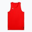 Fußball Shirt Herren PUMA teamJAWS Starter Jersey for all time red