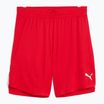 Herren-Basketball-Shorts PUMA teamJAWS Starter für alle Zeit rot