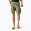Herren-Trekkinghose REGATTA Ruwan Fauna