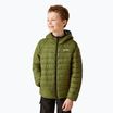 Daunenjacke Kinder REGATTA Junior Hooded Marizion nephrite green/abbeystone