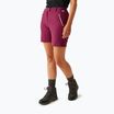Damen-Trekking-Shorts REGATTA Mountain II beaujolais