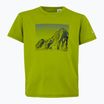Shirt Kinder REGATTA Alvarado IX grenoble green
