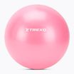 Mini-Gymnastikball TREXO TXO-B4Z010-PK 20 cm rosa