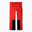 Herren-Skihose 4F