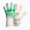 Torwarthandschuhe Football Masters Varis X NC white/green