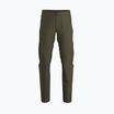 Herren-Trekkinghose Arc'teryx Gamma SL tatsu