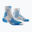 Laufsocken Herren X-Socks Run Speed Two 4.0 pearl grey/invent blue