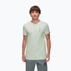Mammut Herren-T-Shirt Massone Quickdraw Silber Salbei