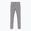 Herren Skihose Dainese Dermizax Ev silber/filigran