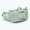 Bauchtasche Osprey Tempest 6 l frosty mint/ green botanica