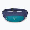 Bauchtasche Osprey Daylite Waist 2 l blue spikemoss/alkaline