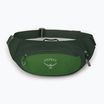 Bauchtasche Osprey Daylite Waist 2 l green bely/green canopy