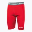 Herren Joma Warm Fleece rojo Thermo-Shorts