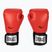 Everlast Pro Style 2 rote Boxhandschuhe EV2120 RED