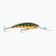 Rapala Deep Tail Dancer Flash Barsch Wobbler RA5835022