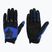 Herren Radhandschuhe Fox Racing Dirtpaw blau