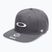 Herren Oakley 47 B1B Ellipse einheitlich grau Baseballkappe