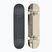 Klassisches Skateboard Globe G0 Strype Hard schwarz/off-weiß