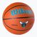 Wilson NBA Team Alliance Charlotte Hornets brauner Basketball WTB3100XBCHA