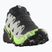 Herren Laufschuhe Salomon Speedcross 6 GTX schwarz/legierung/grüner Gecko