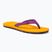 Damen Pantoletten The North Face Base Camp Mini II orange NF0A47ABIII1