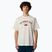 Herren The North Face Varsity Grafik weiß dune t-shirt