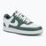 Nike Court Vision Low Next Nature Damen Schuhe Vintage Grün/Weiß