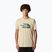 Shirt Herren The North Face Mountain Line Tee gravel