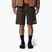 Herren-Shorts The North Face Limestone new taupe green