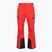 Skihose Herren The North Face Chakal Regular elevation red