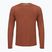 Funktions-Longsleeve Herren Smartwool Merino Sport 120 burnt sienna