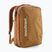 Tourenrucksack Patagonia Black Hole Micro MLC Talon Gold