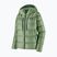 Patagonia Damen Daunenjacke Fitz Roy Down Hoody ellwood grün