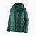 Patagonia Herren Daunenjacke Fitz Roy Down Hoody cascade grün