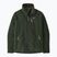 Herren-Trekkingpullover Patagonia Retro Pile old growth green