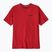 Herren Patagonia P-6 Logo Responsibili-Tee amanita rot