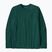 Herren Patagonia P-6 Logo Responsibili kaskadengrünes Longsleeve