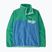 Damen-Trekkingpullover Patagonia LW Synch Snap-T P/O shore blue