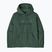 Herrenpullover Patagonia P-6 Logo Uprisal Hoody p-6 outline: canopy green