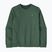 Herrenpullover Patagonia Fitz Roy Massif Daily Crew Canopy Green
