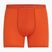 Thermo-Boxershorts für Männer Icebreaker Anatomica fervid