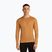 Herren Thermoaktivshirt icebreaker 260 Tech Crewe trail