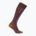 Skisocken Herren Icebreaker Merino Ski+ java/trail/seaglass