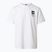 Herren-Trekking-T-Shirt The North Face Mountain Celebration Regular tnf white